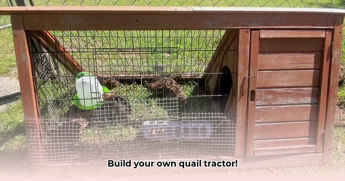 quail-tractor